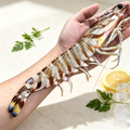 Wild Kuruma Prawn