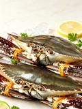 Live Blue Swimmer Crab