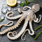 Long-Legged Octopus