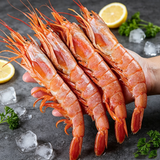 Argentine Red Shrimp