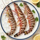 Wild Kuruma Prawn