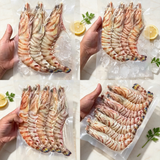 Wild Kuruma Prawn