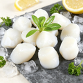 Frozen Scallop Meat