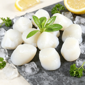 Frozen Scallop Meat