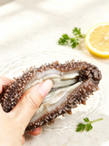 Wild Sea Cucumber