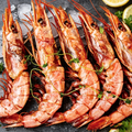 Argentine Red Shrimp
